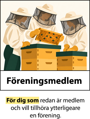 Föreningsmedlem
