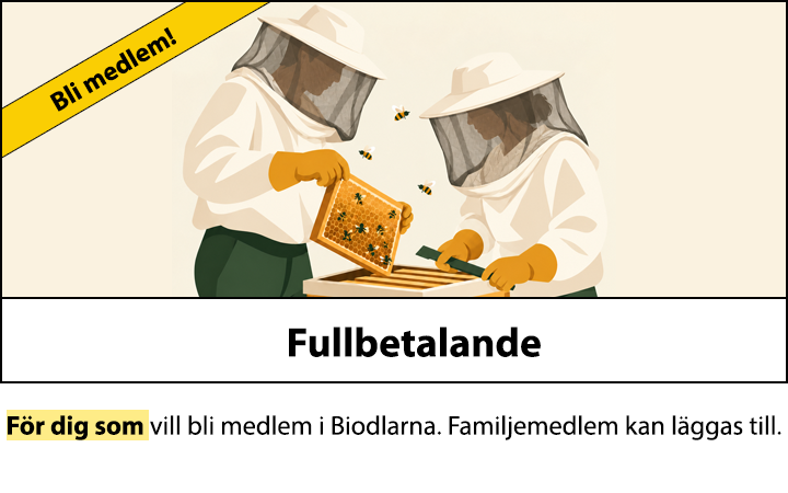 Fullbetalande medlemskap