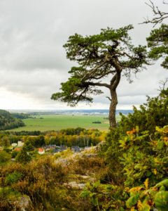 Foto; Stefan Lindberg
