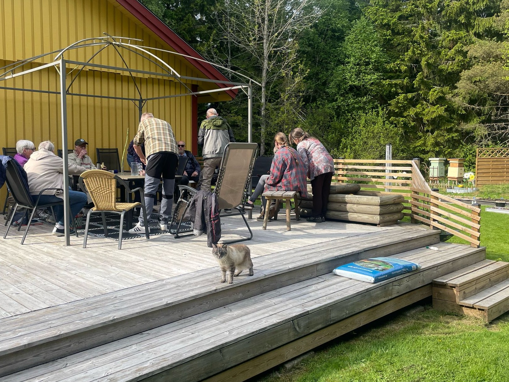 Årets andra bisurr