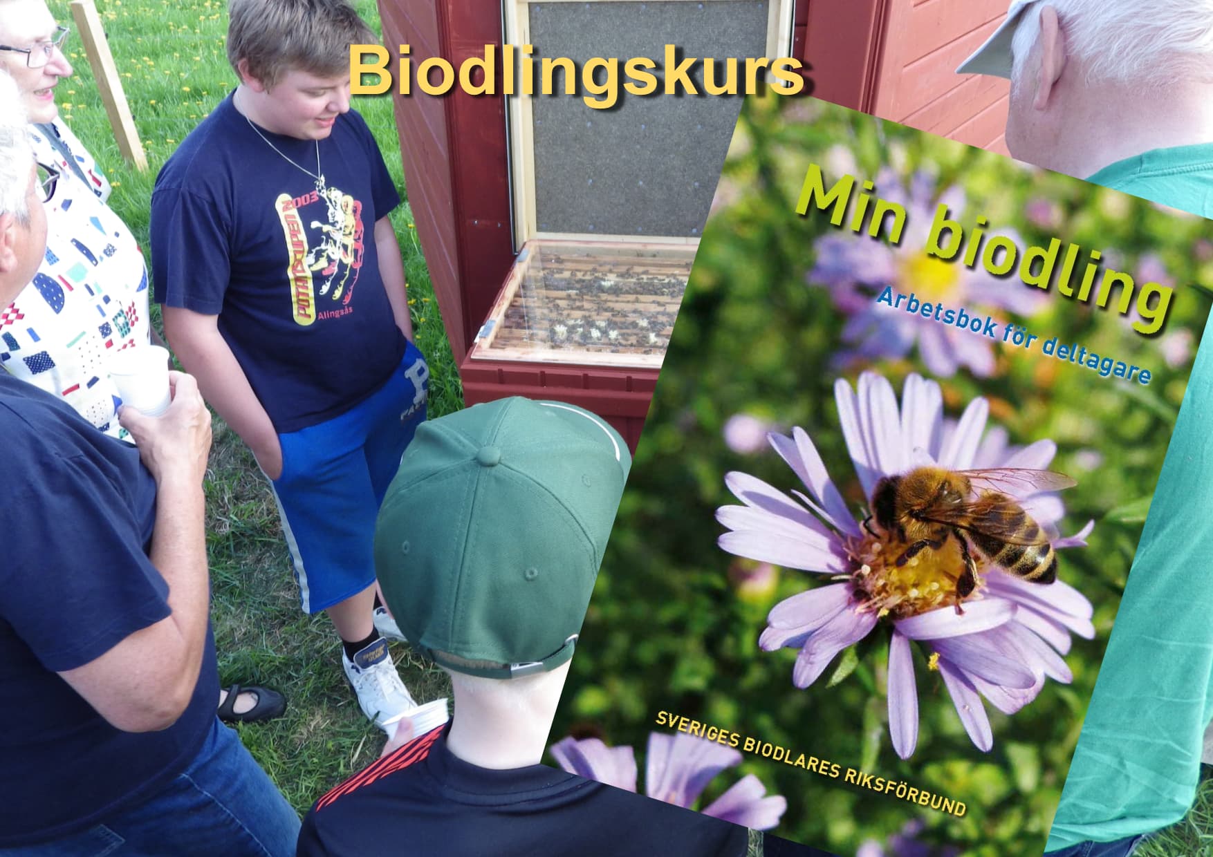 Biodlingskurs
